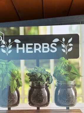 Studio 66 Harper Herb Garden features a black metal and wood stand holding new